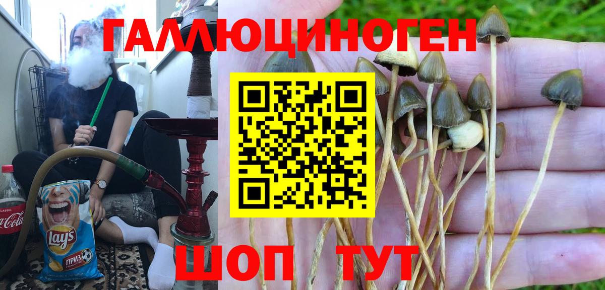 Галлюциногенные грибы GOLDEN TEACHER  сколько стоит  Кубинка  Вход с VPN 